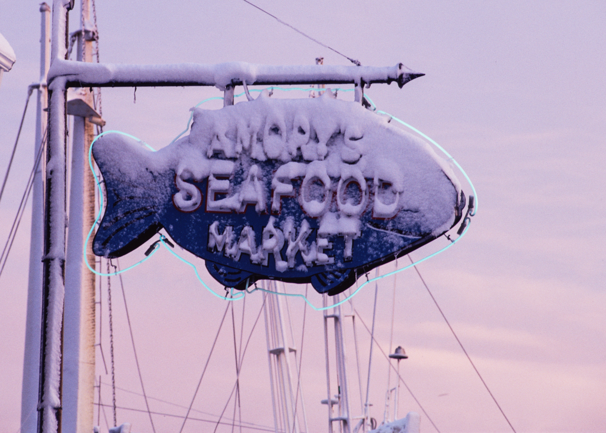 photograph by Bryan Hatchett, copyright, Bryan Hatchett, color photograph, Amory sign, Hampton, Virginia, snow