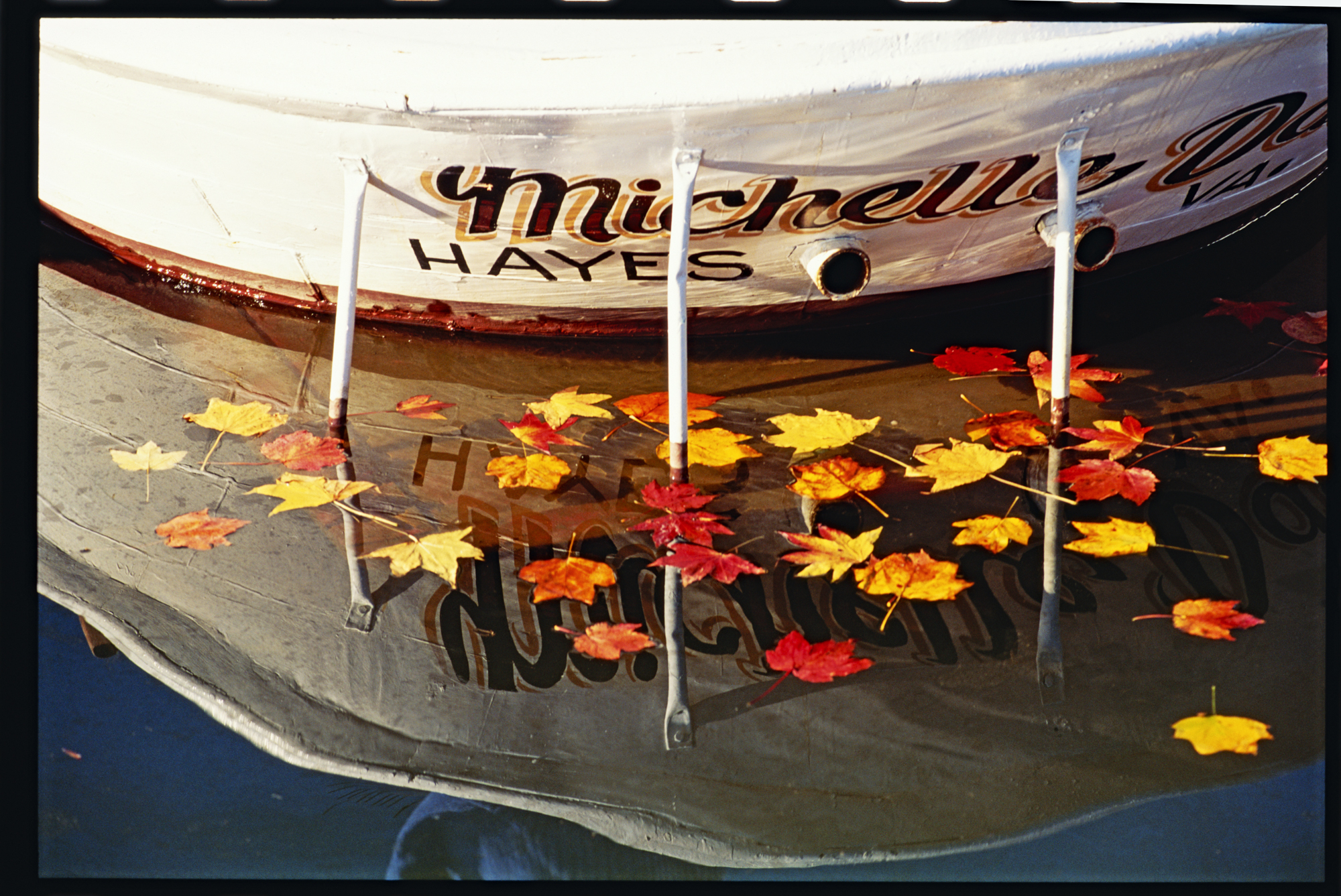 photograph by Bryan Hatchett, copyright, Bryan Hatchett, color photograph, autumn leaves at Deep Creek, Newport News, Virginia, in the water next to the stern of a waterman's workboat