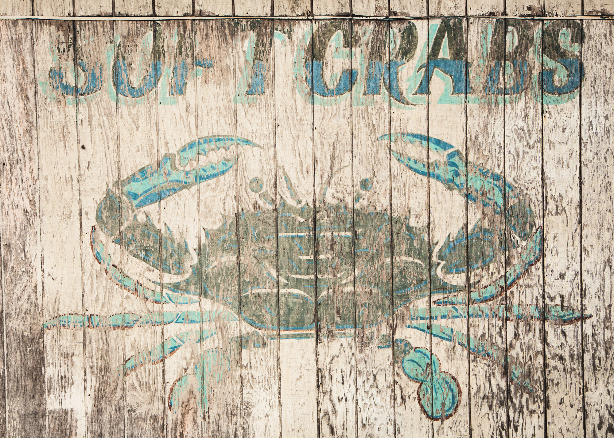 photograph by Bryan Hatchett, copyright, Bryan Hatchett, color photograph, soft shell crabs sign, Hampton, Virginia