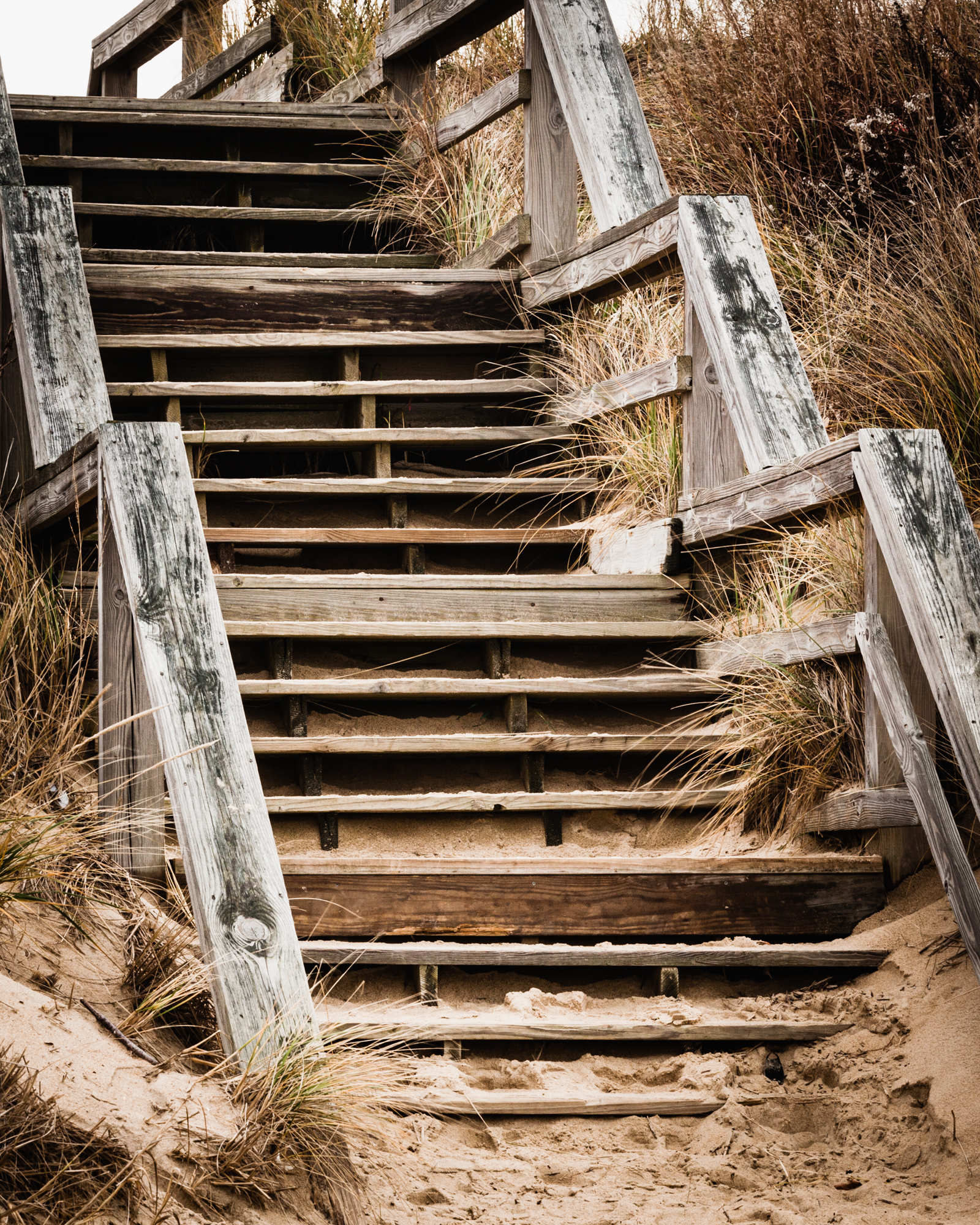 photograph by Bryan Hatchett, copyright, Bryan Hatchett, color photograph, steps to the Chesapeake Bay beach, at Cape Henry inside Ft. Story, Virginia, stairway
