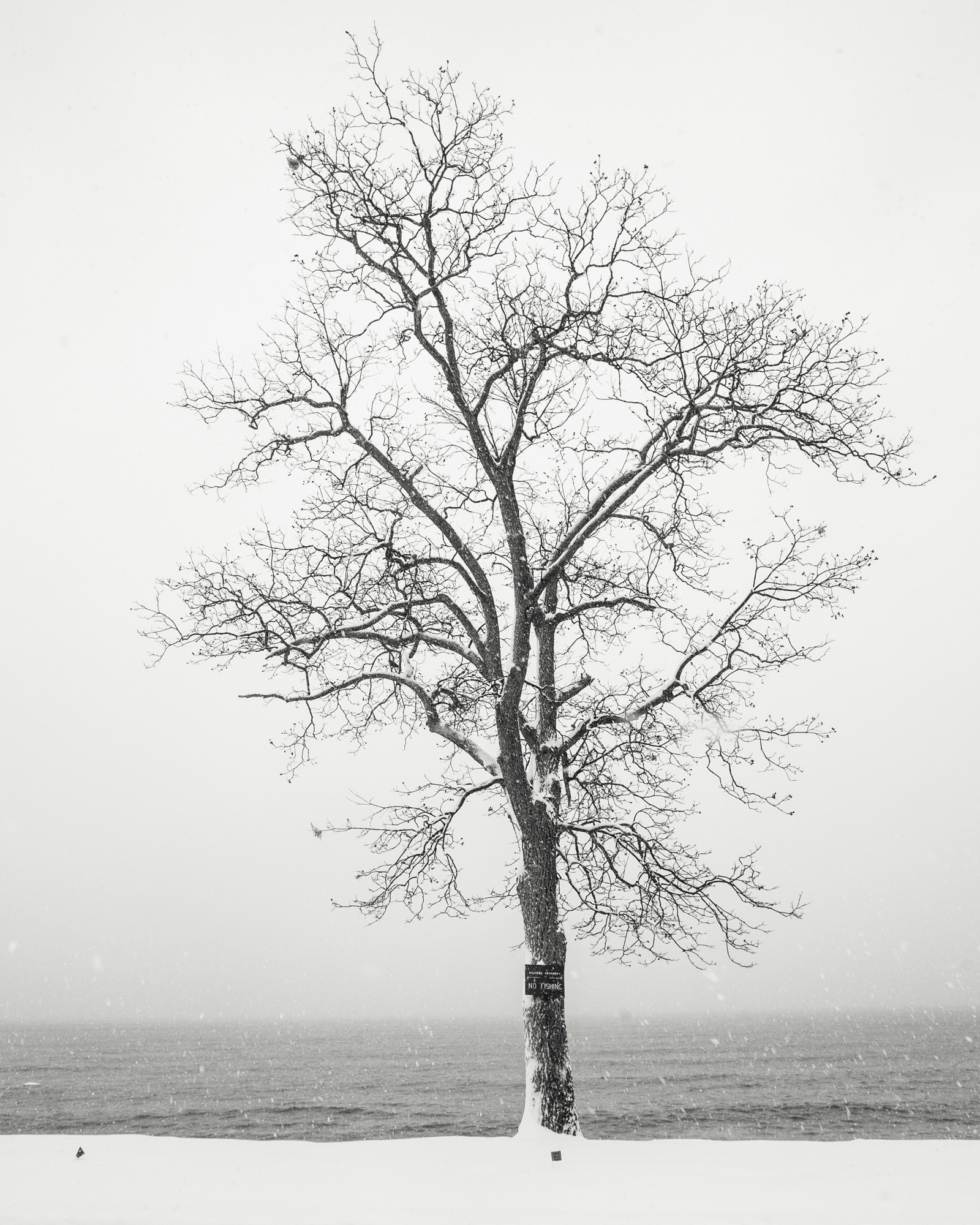 photograph by Bryan Hatchett, copyright, Bryan Hatchett, black & white photograph, snow fall on the edge of Hampton Roads, Hampton, Virginia.
