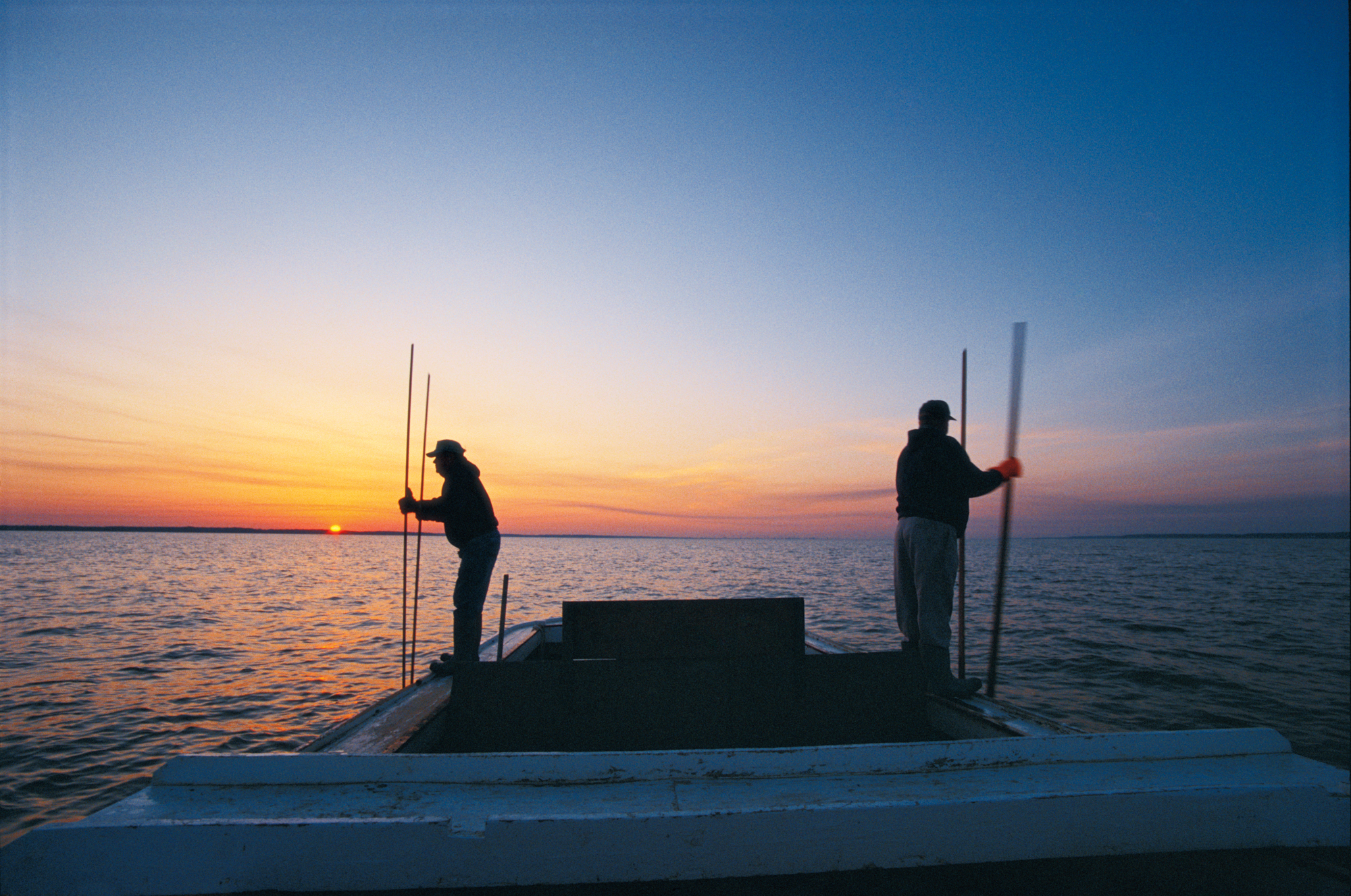 photograph by Bryan Hatchett, copyright, Bryan Hatchett, color photograph, Chesapeake Bay watermen tonging for oysters at sunrise on the James River near Newport News, Virginia; William “Bubba” Bonniville. on the left. and Ellis West.