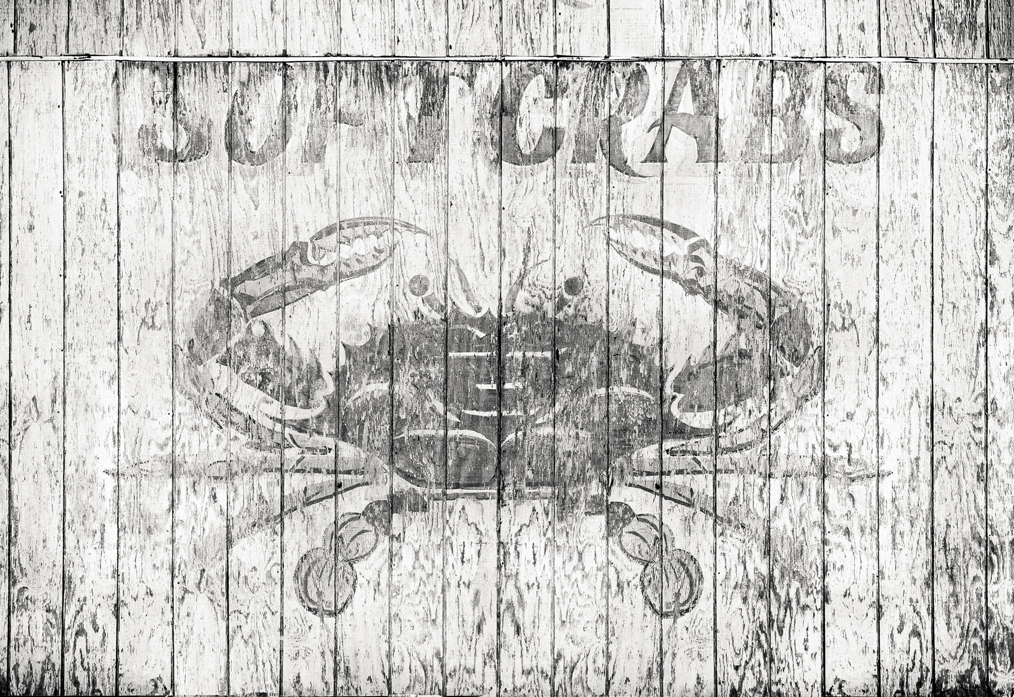photograph by Bryan Hatchett, copyright, Bryan Hatchett, black & white photograph, soft shell crab sign, Hampton, Virginia