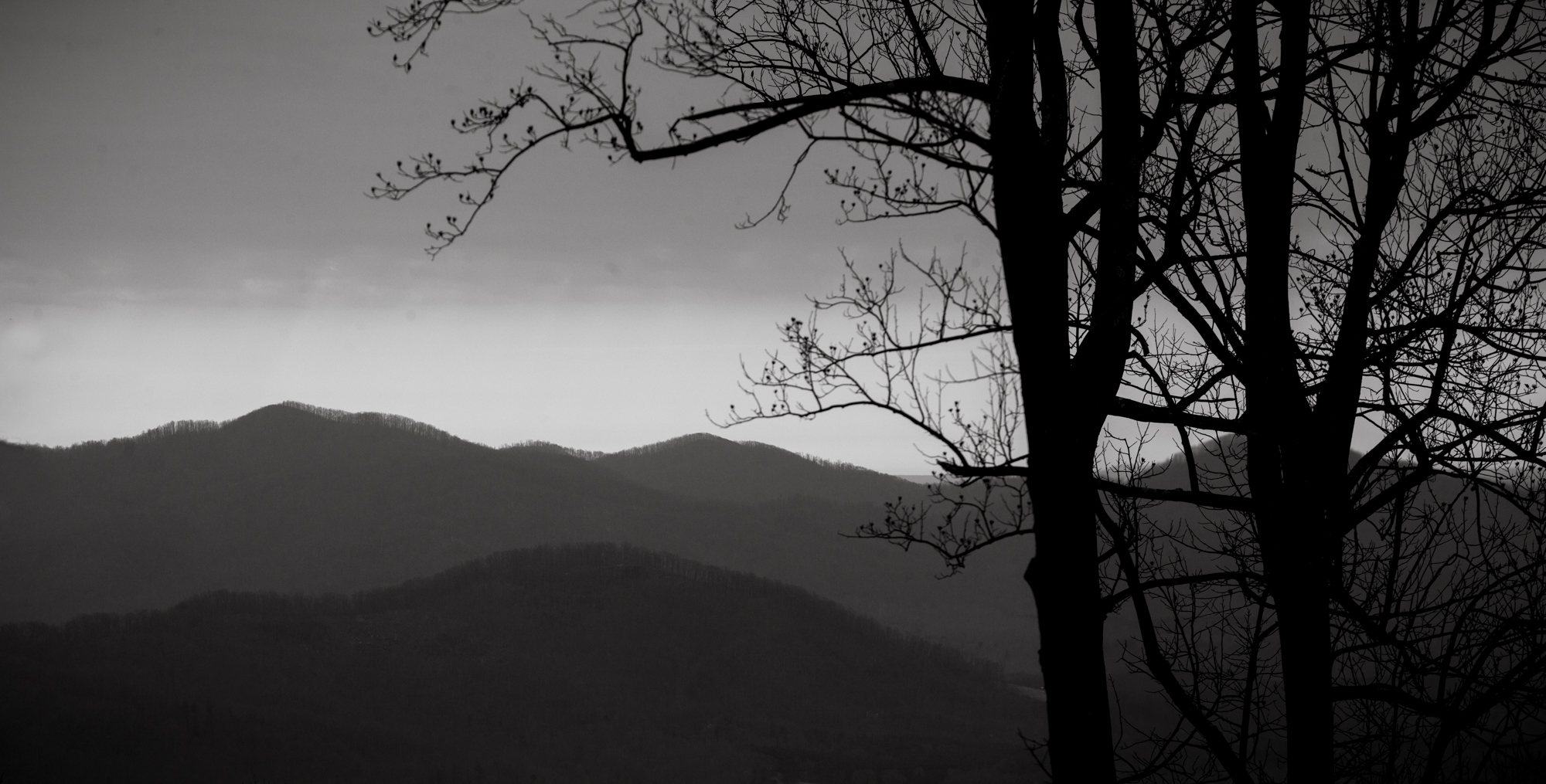 photograph by Bryan Hatchett, copyright, Bryan Hatchett, Afton Mountain Blue Ridge Mountains Virginia trees, scenic black & white photograph